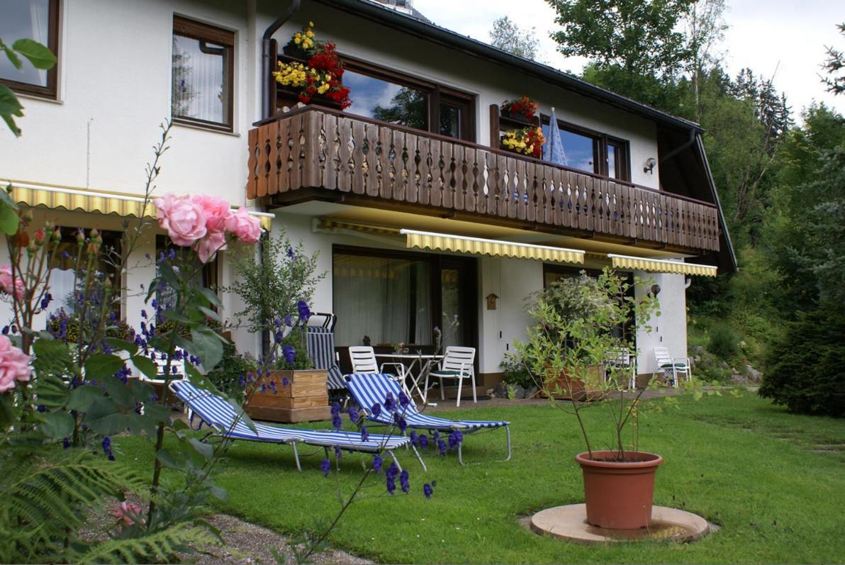 Black Forest Apartments Titisee Dış mekan fotoğraf