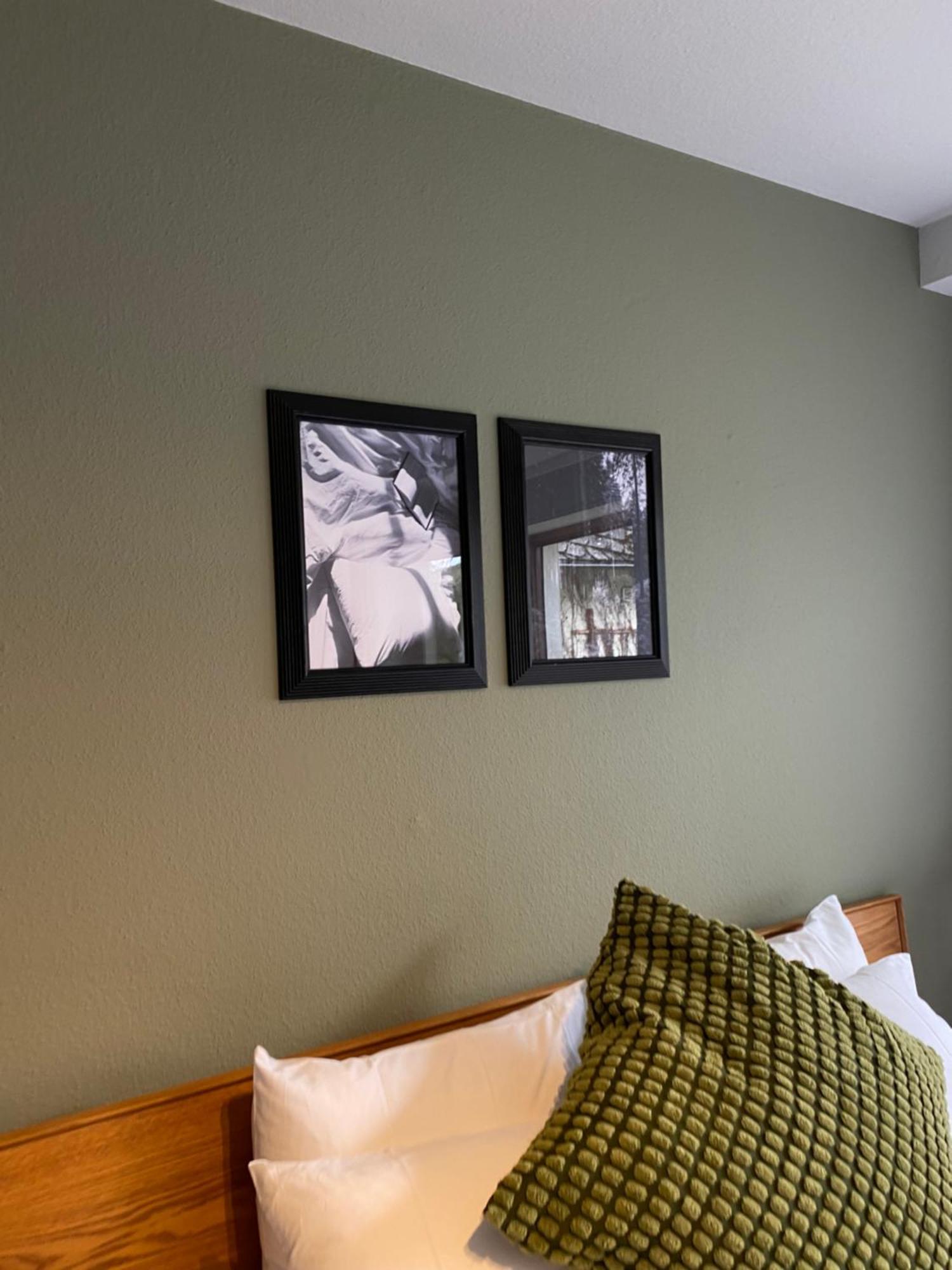 Black Forest Apartments Titisee Dış mekan fotoğraf